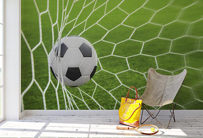 Fototapeta Futbalový gól 1556